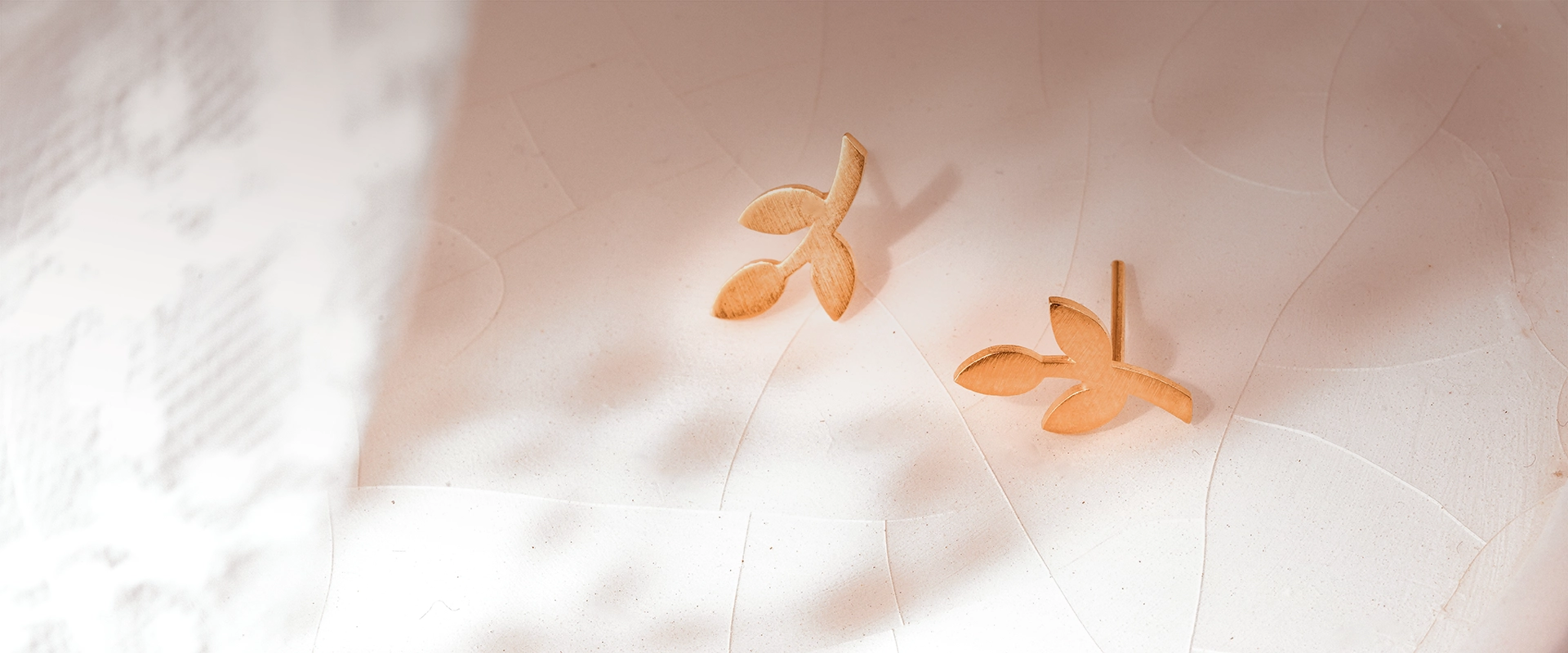 earrings cover